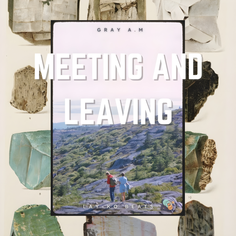 Read more about the article Lay-Ko Beats & Gray A.M. Stroll with “Meeting And Leaving”