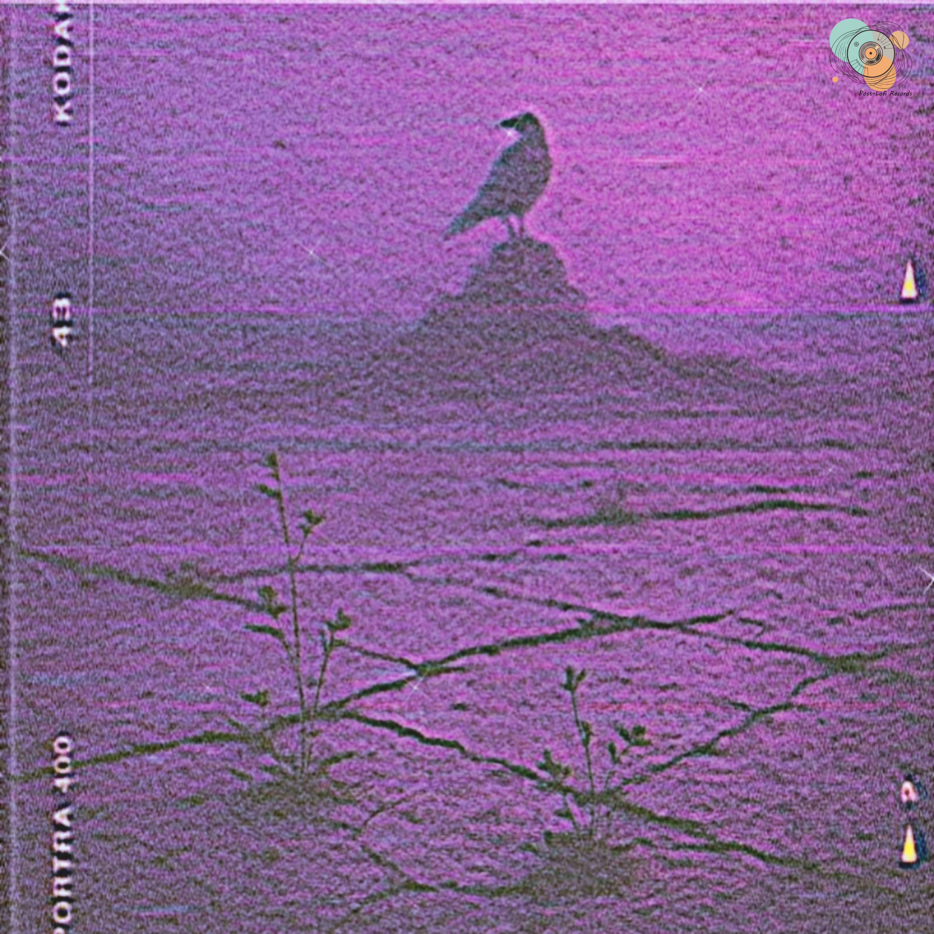 Read more about the article egrets Grooves with “Patio Concrete”