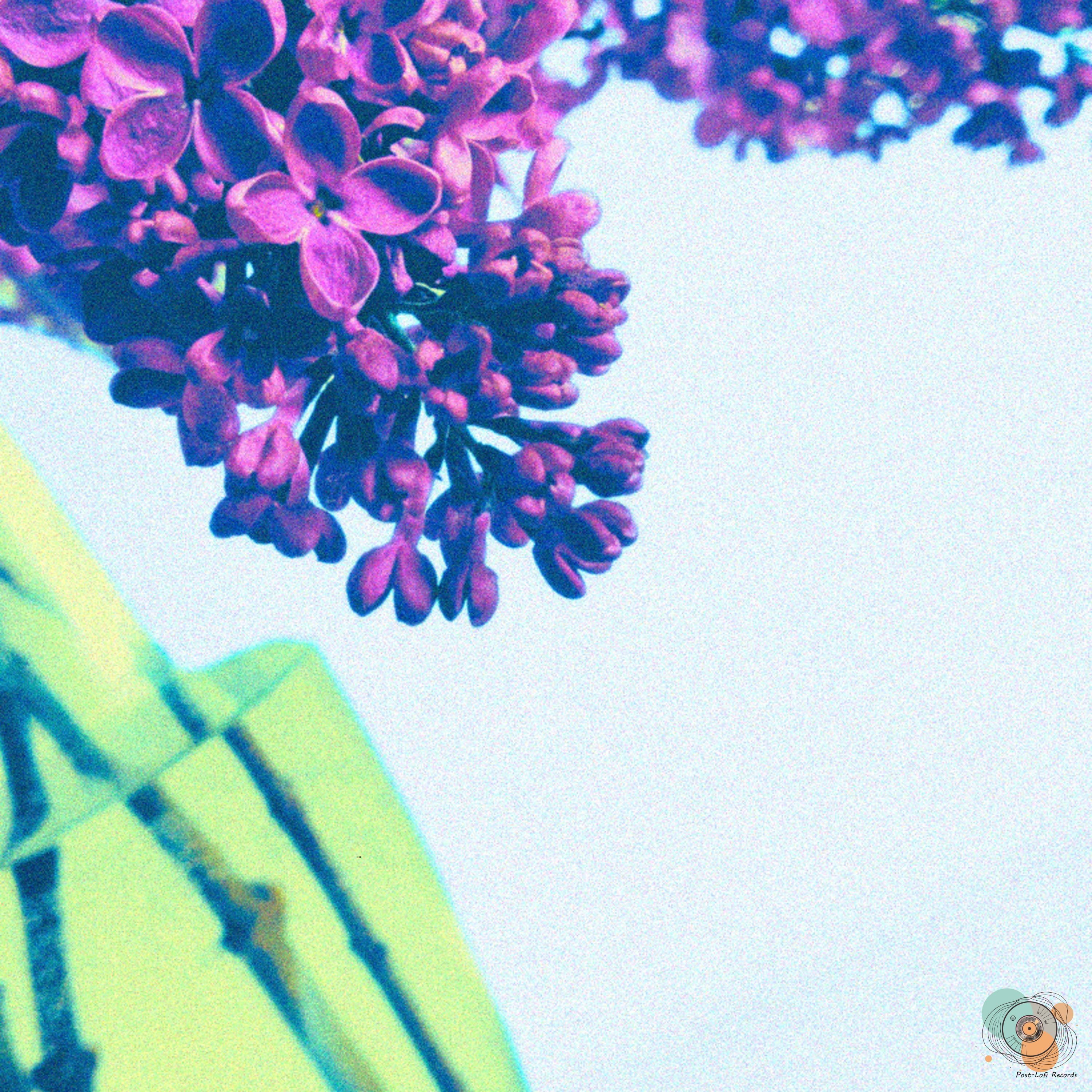 Read more about the article yyoverr & Lenz Launing Blossom with “Lilac”