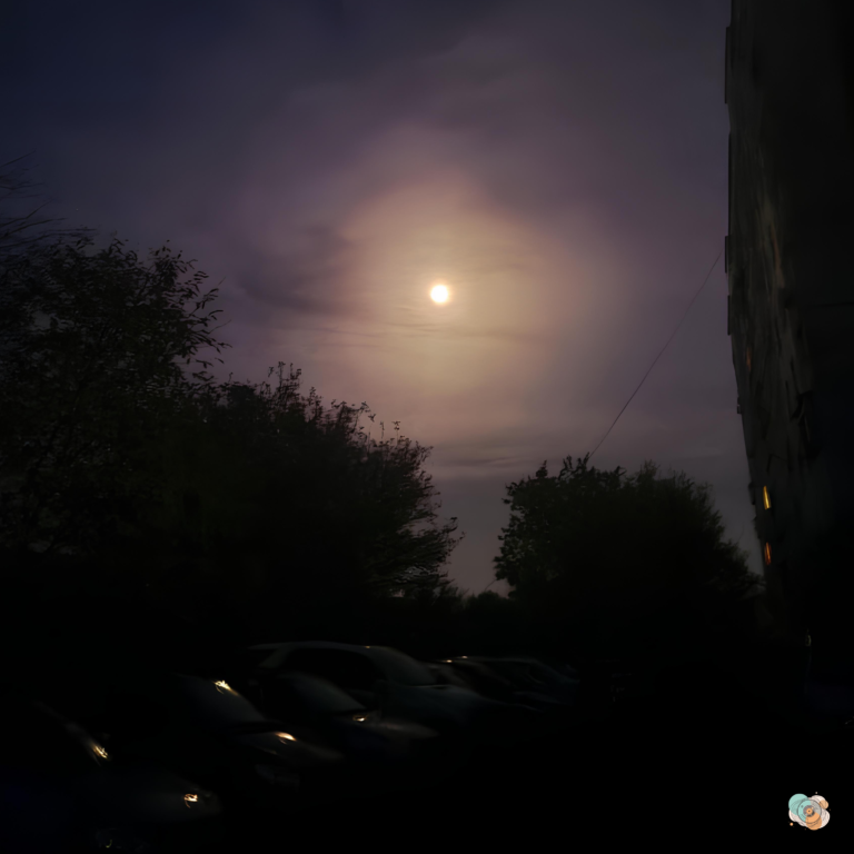 Read more about the article Turtle Vibes & Grungik Soothe with “Can’t Sleep”