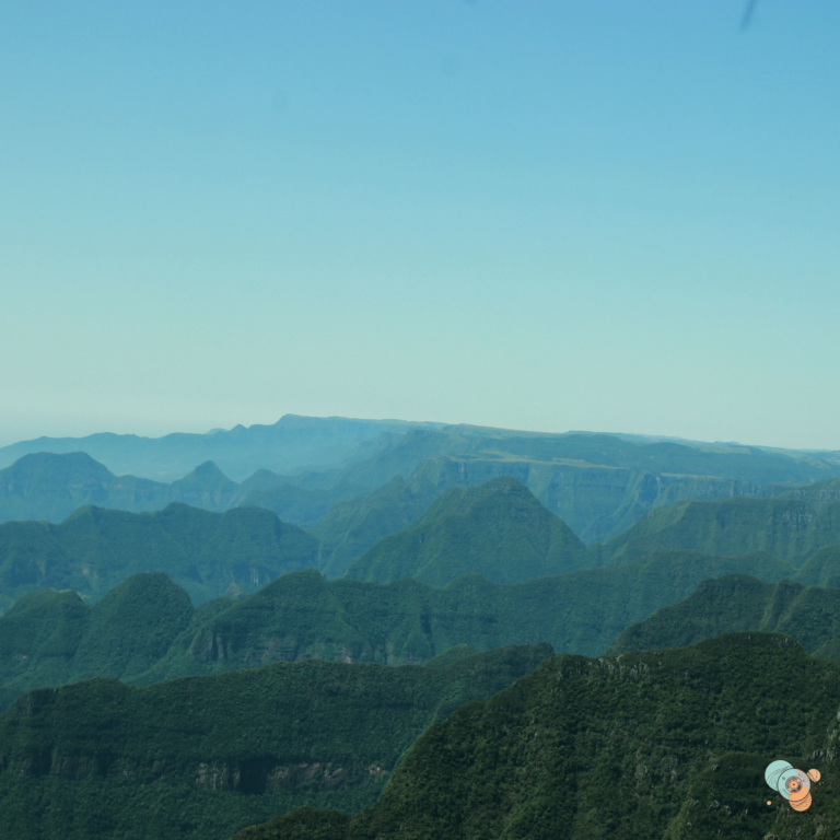 Read more about the article convivingwithme Reflects with “Trying”