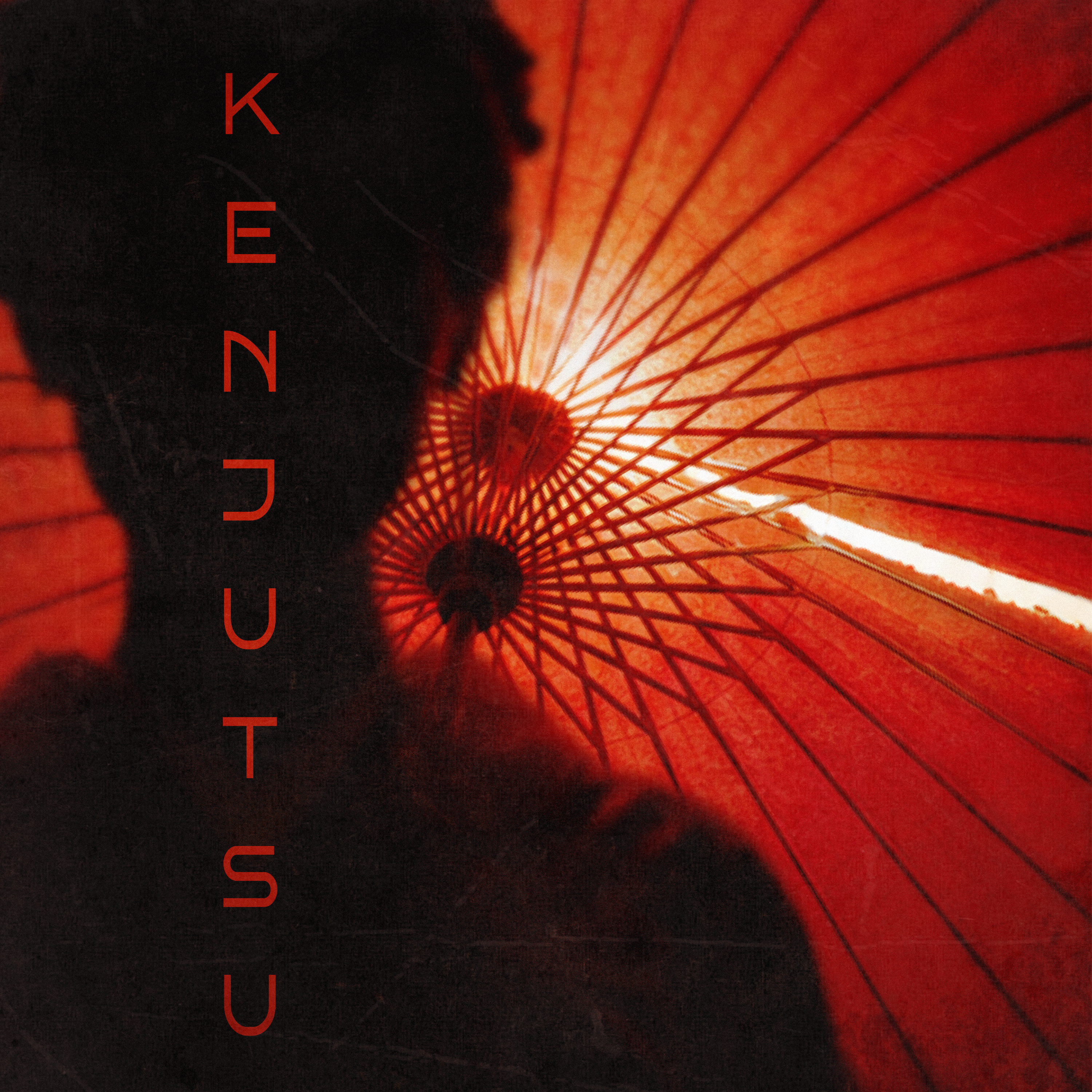 Read more about the article swordofverity Strikes with “kenjutsu”